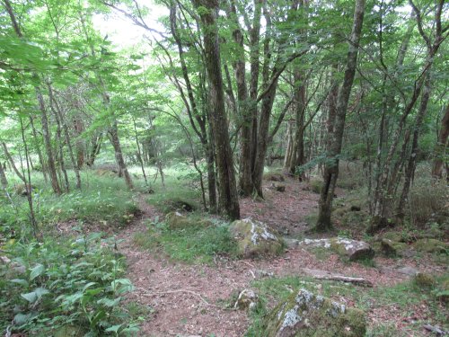 登山道